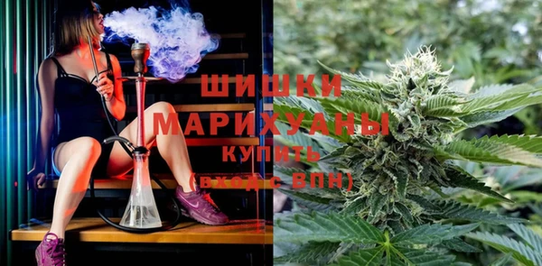 твердый Ростов