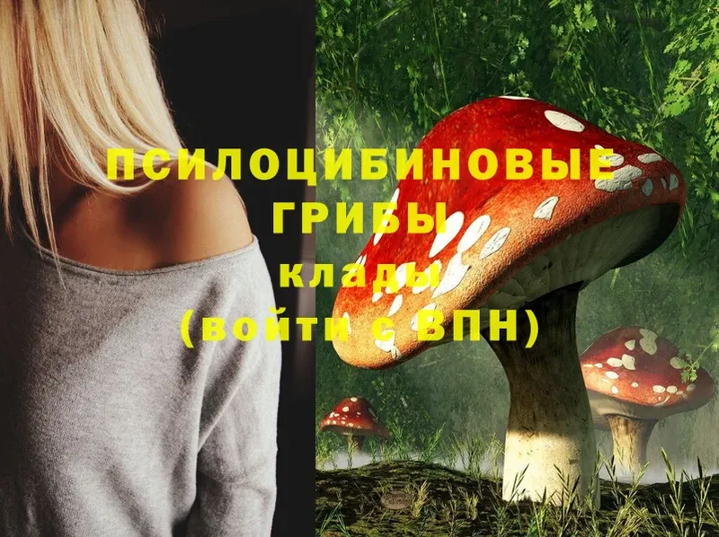 закладка  Бахчисарай  hydra tor  Псилоцибиновые грибы Cubensis 