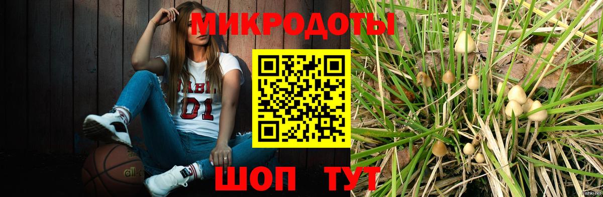 Бахчисарай  Псилоцибиновые грибы ЛСД  где купить наркоту  Вход с VPN 