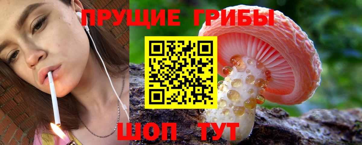 Галлюциногенные грибы Psilocybe Бахчисарай